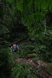 BIB: 
                            <button type="button" onclick="openModal(16033113)" class="btn btn-primary btn-sm float-right btn-popup" data-toggle="modal" data-target=".modal-high-quality">
                        <i class="fas fa-shopping-cart"></i> Add to Cart
                    </button>
                                            <button type="button" onclick="isThisMe(16033113, true)" class="btn btn-success btn-sm float-right btn-popup btn-isme hidden" data-toggle="tooltip" data-placement="bottom" title="นี่คือรูปของคุณใช่ไหม คลิกที่นี่เพื่อเอาเข้าอัลบั้ม">
                        <i class="fas fa-plus"></i> Add to album
                    </button>
                    <button type="button" onclick="isThisMe(16033113, false)" class="btn btn-warning btn-sm float-right btn-popup btn-isnotme hidden">
                        <i class="fas fa-ban"></i> Remove from album
                    </button>